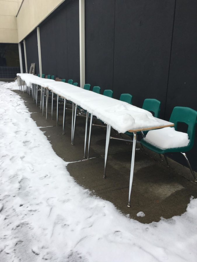 These 17 desks were lined up in the courtyard by Marissa Stone, senior, as a way to honor to the lives lost during the Parkland, FL shooting. 